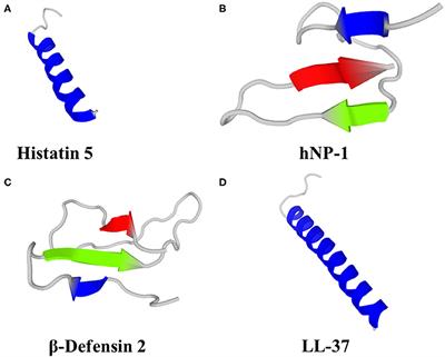 Innate Inspiration: Antifungal Peptides and Other Immunotherapeutics From the Host Immune Response